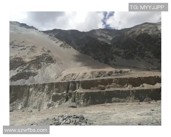 深度对话：探索周敏在和平精英中的成长与挑战之路